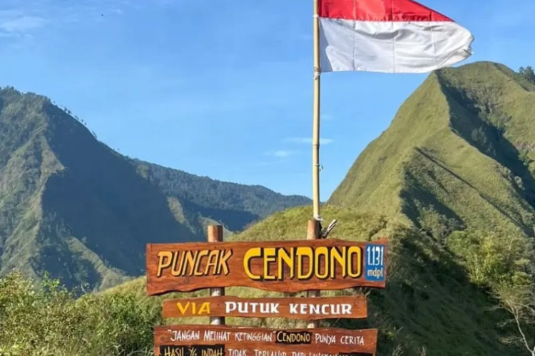 Pendaki Merapat! Bukit Cendono Mojokerto Kembali Dibuka Usai Proses Pemulihan, Ini Dia Aturan Barunya