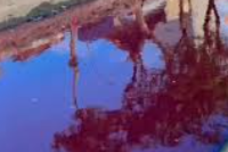 VIRAL! Sungai Jatipurwo di Surabaya Menjadi Berwarna Merah, DLH: Ada Kemungkinan Akibat Pembuangan Zat Pewarna