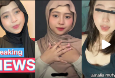 Video Amalia Mutya Durasi Panjang Terbaru Bocor, Link Asli Tanpa Sensor Full! 