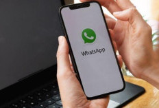 Apa Itu Bot Confess WhatsApp? Program Kirim Chat Privat Anonim Viral Buat Pengakuan Cinta