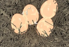 ¡Muy difícil! Leer BL Manhwa La Granja del Señor A (Mr.A's Farm) Capítulo 11 en Español RAW
