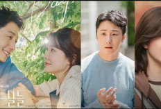 Nontn Drama Our Golden Days (2025) Full Episode Subtitle Indonesia, Jatuh Cinta di Waktu yang Tepat