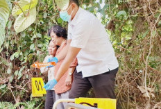 Misteri Dokter PPDS Ditemukan Meninggal Dunia di Area Semak Dekat RSUD Siak, Polisi: 'Masih dalam Penyelidikan'