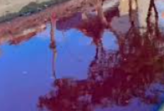 VIRAL! Sungai Jatipurwo di Surabaya Menjadi Berwarna Merah, DLH: Ada Kemungkinan Akibat Pembuangan Zat Pewarna