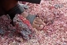 Video Cacahan Uang Rp100 Ribu di TPS Liar Bekasi Viral Media Sosial, Polisi Sita Barang Bukti